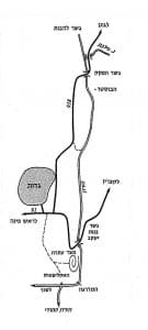 מחנה אימונים גדות